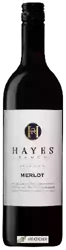 Domaine Hayes Ranch - Merlot