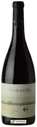 Domaine Herencia Altés - La Serra Negre