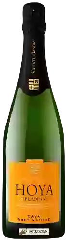 Domaine Hoya de Cadenas - Cava Brut Nature