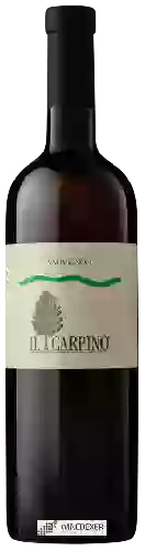 Domaine Il Carpino - Sauvignon