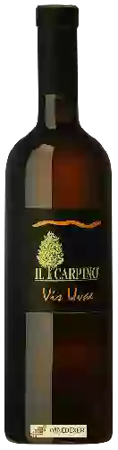 Domaine Il Carpino - Vis Uvae