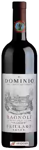 Domaine Il Dominio di Bagnoli - Friularo Classico