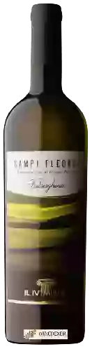 Domaine Il IV Miglio - Falanghina