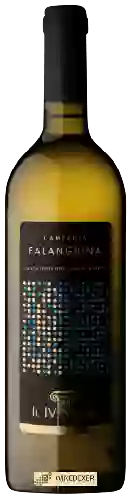 Domaine Il IV Miglio - Falanghina