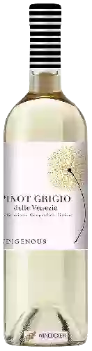 Domaine Indigenous - Pinot Grigio