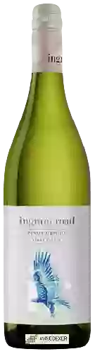 Domaine Ingram Road - Single Vineyard Pinot Grigio