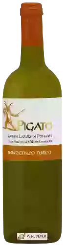 Domaine Innocenzo Turco - IL Pigato