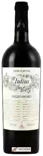 Domaine Ioniς (Ionis) - Negroamaro