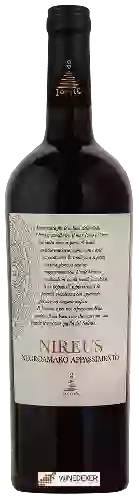 Domaine Ioniς (Ionis) - Nireus Negroamaro Appassimento