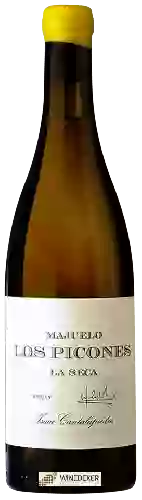 Domaine Isaac Cantalapiedra - Majuelo Los Picones La Seca