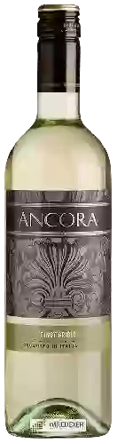 Domaine Ancora - Pinot Grigio