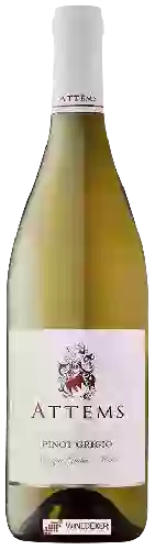 Domaine Attems - Pinot Grigio