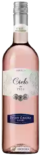 Domaine Cielo e Terra - Pinot Grigio Blush