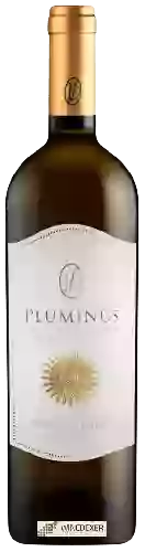 Domaine Ferruccio Deiana - Pluminus Isola dei Nuraghi