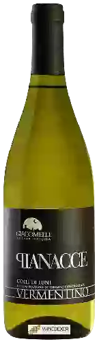 Domaine Giacomelli - Pianacce Vermentino Colli di Luni