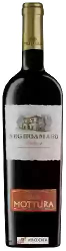 Domaine Mottura - Villa Mottura Negroamaro Salento