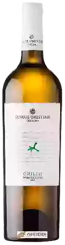 Domaine Tenute Orestiadi - Grillo