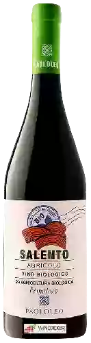 Domaine Paololeo - Agricolo Salento Primitivo