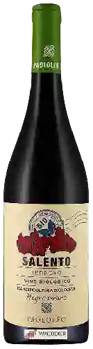 Domaine Paololeo - Terreno Salento Negroamaro