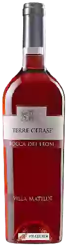 Domaine Villa Matilde - Terre Cerase (Rocca dei Leoni)