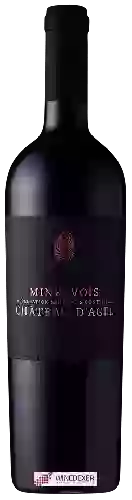 Domaine Ivan Barbic MW - Château d'Agel Minervois