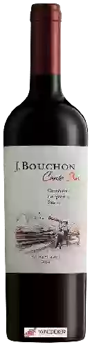 Domaine J. Bouchon - Canto Sur Red