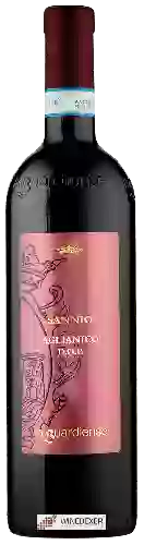 Domaine La Guardiense - Guardiolo Sannio Aglianico