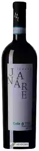 Domaine La Guardiense - Janare Colle di Tilio Sannio Fiano