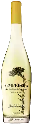 Domaine Jané Ventura - Sempreviva Malvasia de Sitges