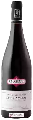 Domaine Jean François Trichard - Domaine des Pierres Saint-Amour