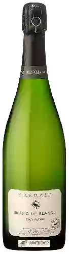 Domaine Jean-Louis Denois - Crémant de Limoux Blanc de Blancs Brut Nature