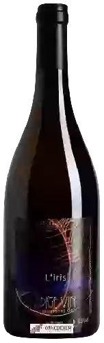 Domaine Jean-Pierre Robinot - l'Ange Vin L'iris