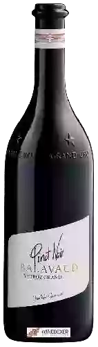 Domaine Jean-René Germanier - Pinot Noir Balavaud Grand Cru