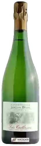 Domaine Jerome Blin - Les Caillasses Extra-Brut Millésime Champagne