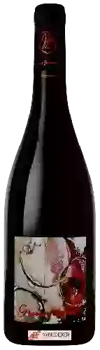 Domaine Johann Michel - Cuvée Grain Noir