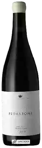 Domaine Josep Grau Viticultor - Pedrabona