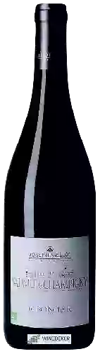 Domaine Joseph Mellot - Le Boisclair Saumur-Champigny