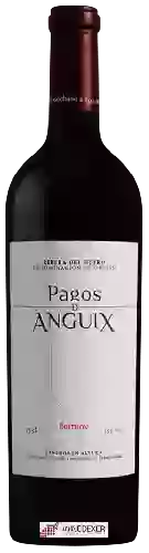 Domaine Juvé & Camps - Pagos de Anguix Barrueco