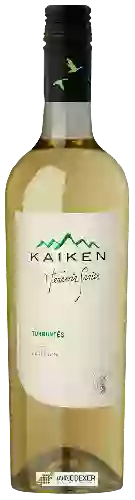 Domaine Kaiken - Terroir Series Torrontes