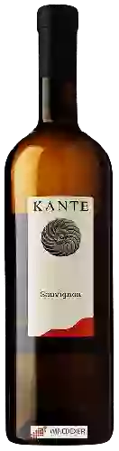 Domaine Kante - Sauvignon