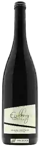 Domaine Klaus Lentsch - Eichberg Veltliner