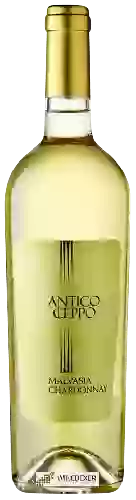 Domaine Antico Ceppo - Malvasia - Chardonnay