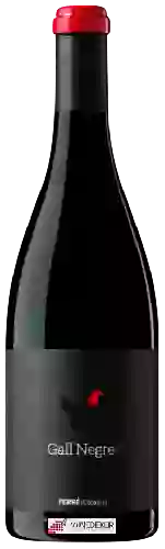 Domaine La Caperucita Verde - Gall Negre