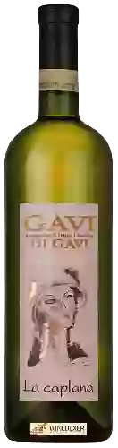 Domaine La Caplana - Gavi