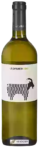 Domaine La Capranera - Fiano