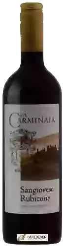 Domaine La Carminaia - Sangiovese