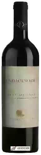 Domaine La Ghiaia - Undicinodi