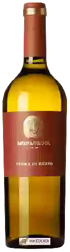 Domaine La Monacesca - Terra di Mezzo