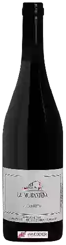 Domaine La Morandina - Zucchetto Barbera d'Asti