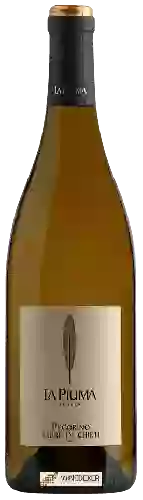 Domaine La Piuma - Pecorino Terre di Chieti